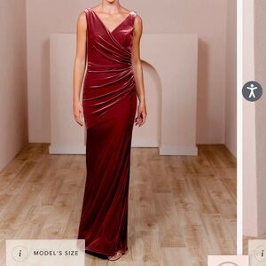 Revelry Dawson Velvet Dress
